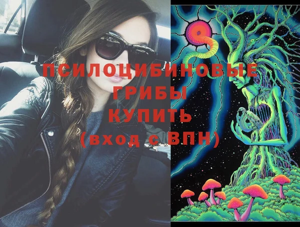 mdma Няндома